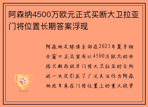 阿森纳4500万欧元正式买断大卫拉亚门将位置长期答案浮现